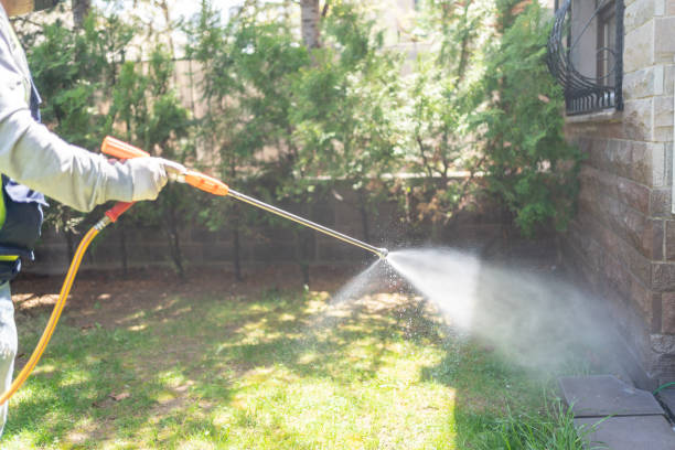 Insect Control in Otisville, NY