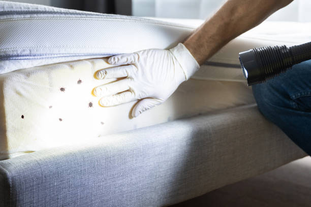 Best Pest Inspection Near Me  in Otisville, NY