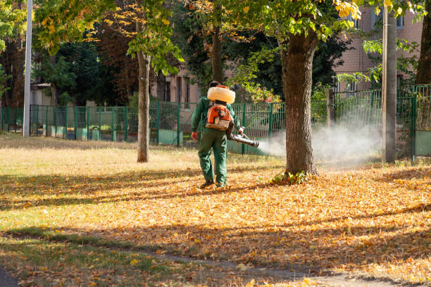 Best Insect Control  in Otisville, NY