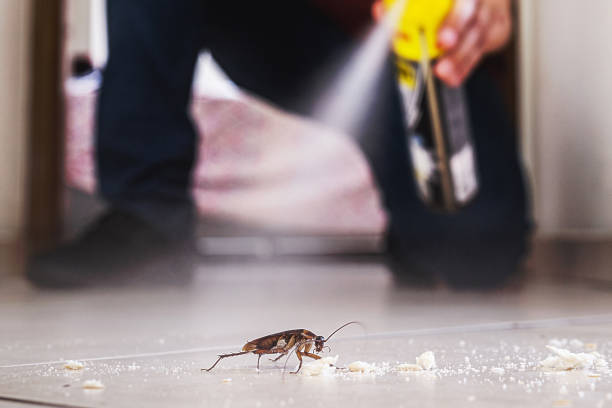 Best Exterminator Services  in Otisville, NY