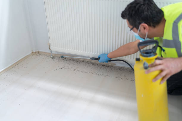 Best Wasp Removal Services  in Otisville, NY