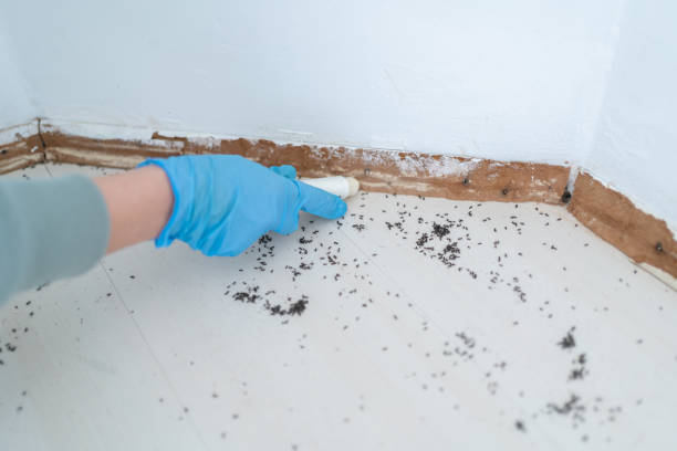 Reliable Otisville, NY Pest Control Solutions