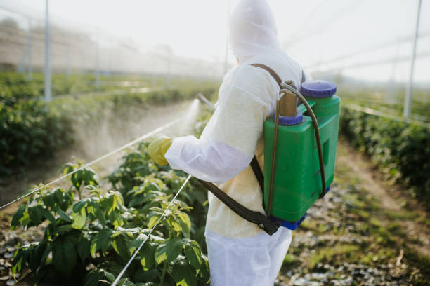 Best Local Pest Control Services  in Otisville, NY